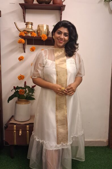 Mridula – Organza Brocade Panel Dress