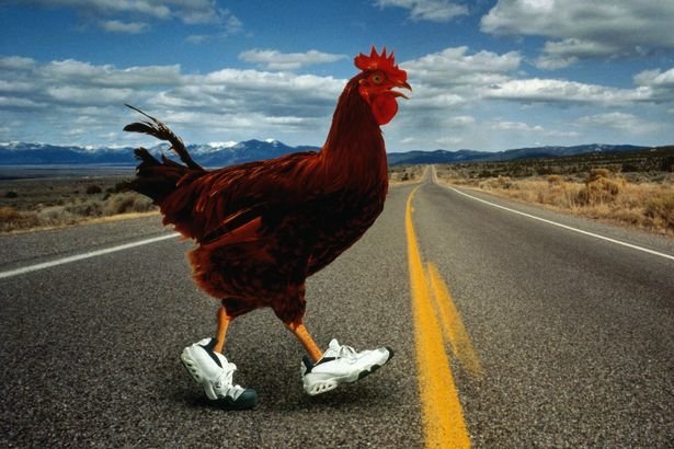Chicken road jeu - Découvrez le Jeu de Casino Chicken Road avec un Bonus Élevé en Ligne